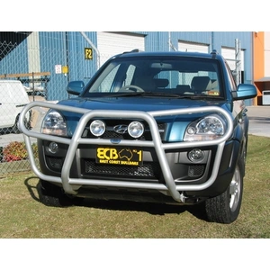 ECB Polished Roo Bar to suit Hyundai Tucson 08/04 - 2010