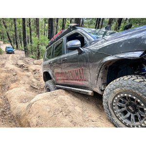 Offroad Animal Rock Sliders Welded, Suitable for Toyota Land Cruiser 300 Series, 2022 to Current