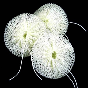 Soto Spare Mantle 3pc