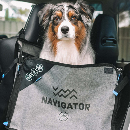 Navigator image
